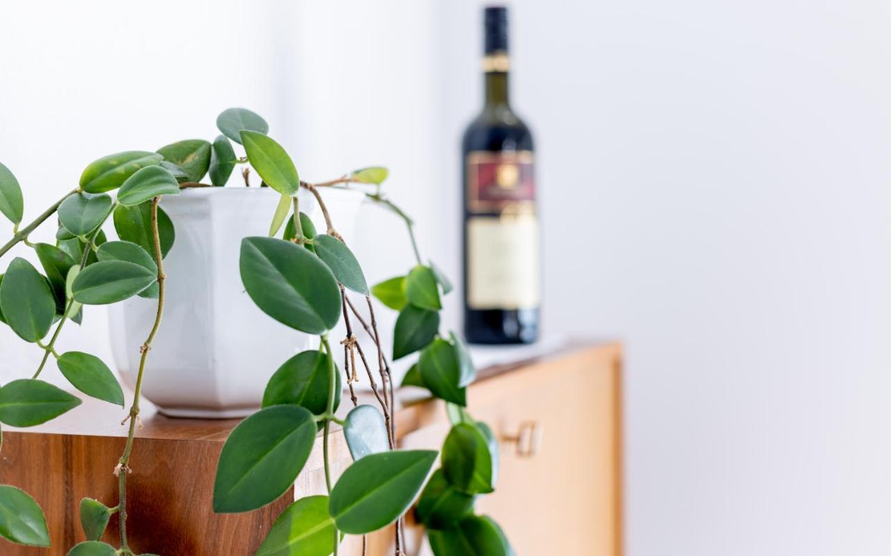 Homely 布拉河畔的海登海姆 外观 照片